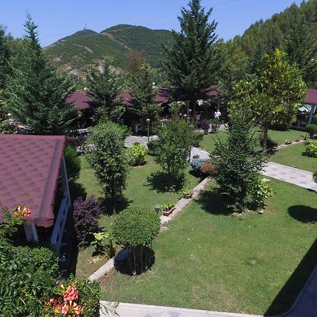 Hotel Elvis Mjull-Bathore Luaran gambar